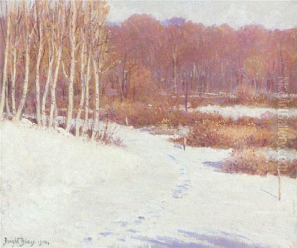 Early Snow, October - view 1