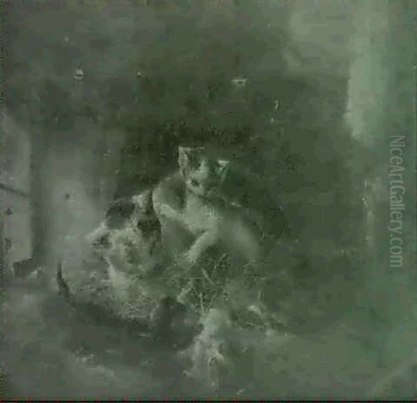 A Cat And Kittens Playing By A Window - view 1