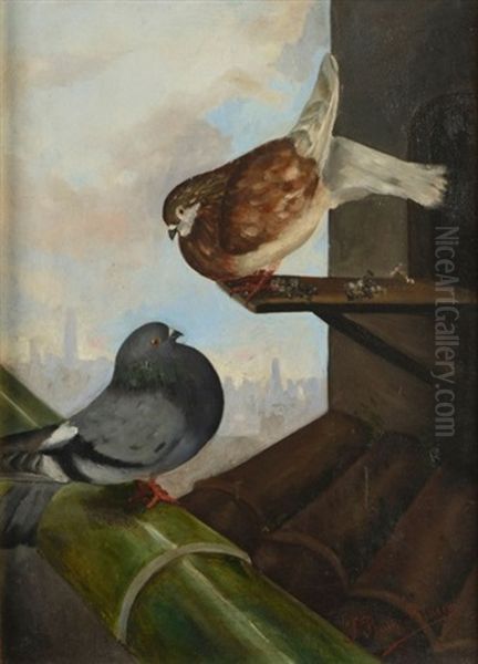Les Pigeons - view 1