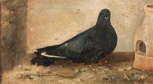 Paloma Negra by Jose Ruiz Blasco