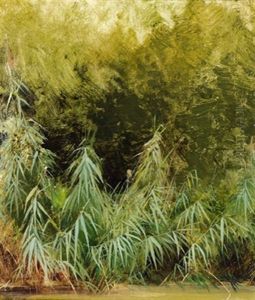 Schilf Am Teichufer by Tina Blau