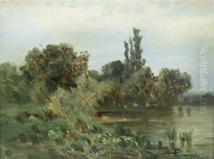 Aulandschaft