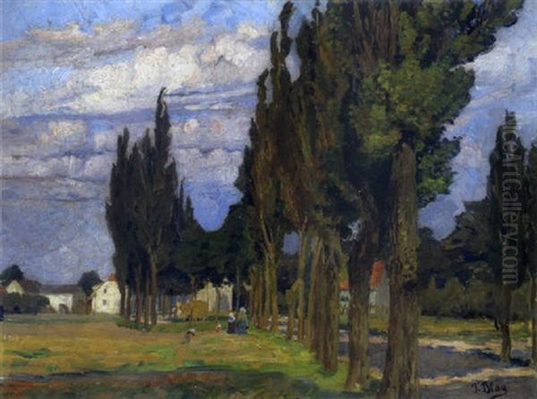 Pappelallee In Niederosterreich - view 1