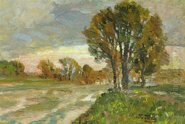 Praterwiese - view 1