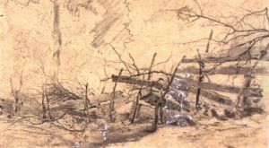 Vom Unwetter Zerstorter Jungwald by Tina Blau