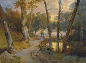 Wald Mit Kleinem Weiher (forest Interior With Pond)