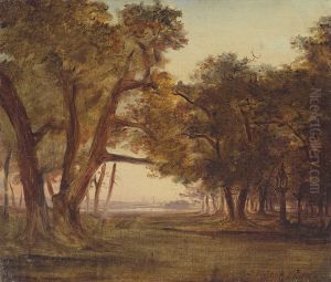 Waldlandschaft Bei Morgenstimmung