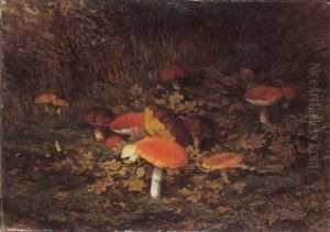 Champignons