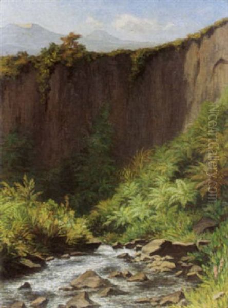 A View Of Java - view 1