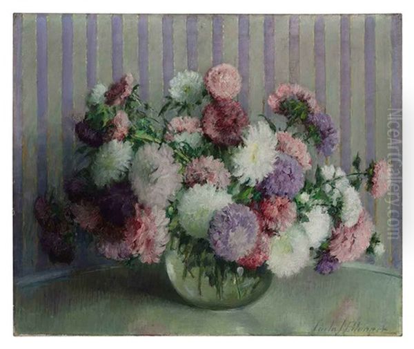 Asters - view 1