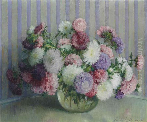Asters - view 1