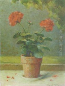 Geranium