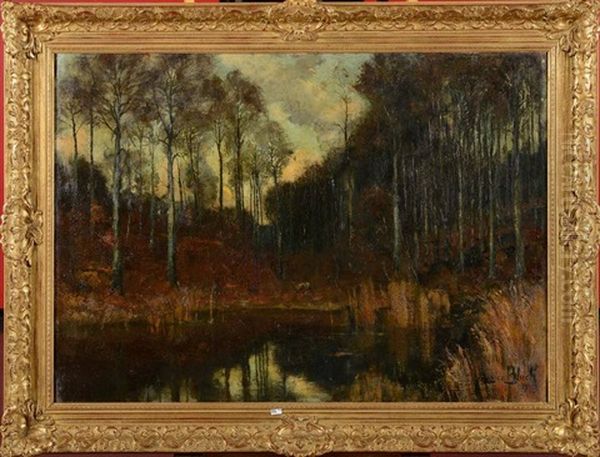 Biches Au Bord D'un Etang En Foret - view 1