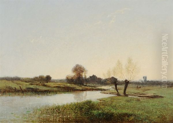 Idyllische Flusslandschaft In Morgenstimmung - view 1