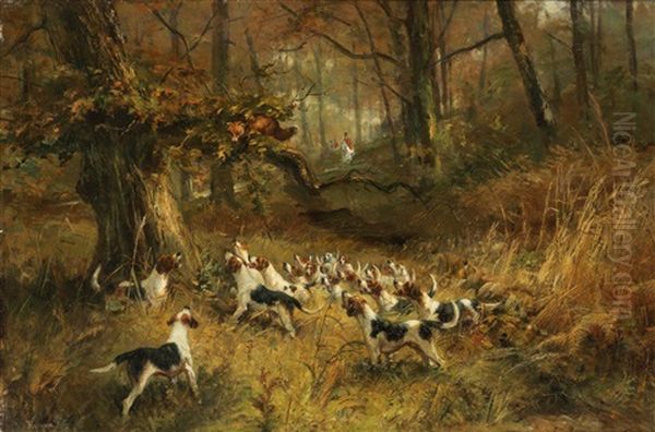 The Fox Hunt - view 1