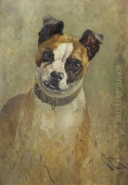 A Portrait Of A Bull Terrier - view 1