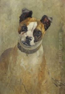 A Portrait Of A Bull Terrier