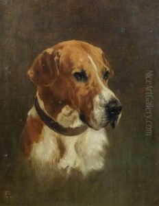 Portrait Of A Foxhound