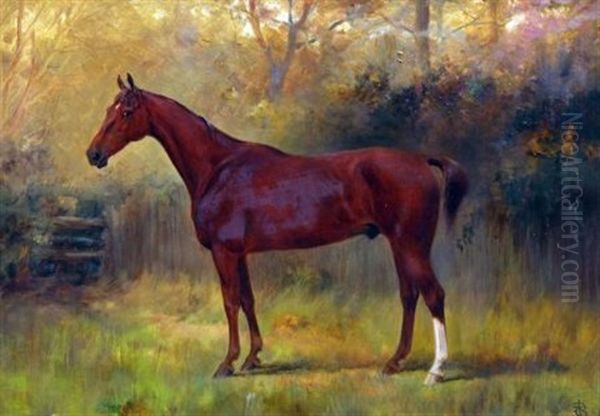 Portrait Of Randy - Horse Owned By Mr. Joseph Storey - view 1
