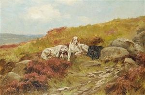 Three Setters In A Landscape by Thomas Blinks
