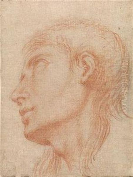 The Head Of A Young Man In Profile Towards Left - view 1