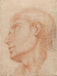 The Head Of A Young Man In Profile Towards Left The Head Of A Young Man In Profile Towards Left