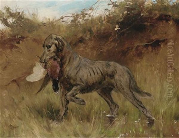 Retrieving A Pheasant - view 1