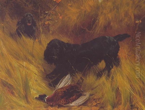 Spaniels - view 1