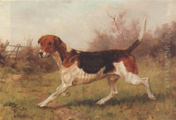 A Foxhound - view 1