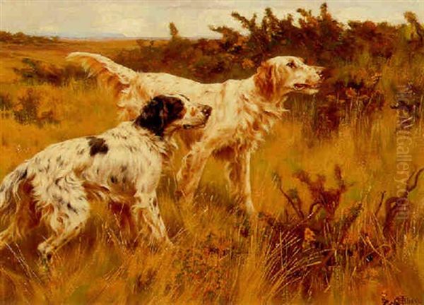 Two Setters - view 1