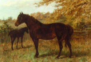 A Mare And A Foal In A Paddock by Thomas Blinks