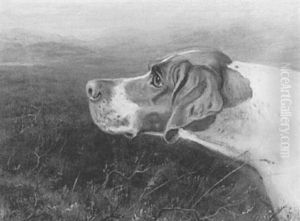 Profile Of A Hound by Thomas Blinks