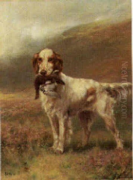 A Retriever - view 1