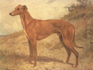 The Greyhound 'dendraspis, Winner Of The Waterloo Cup, 1909 by Thomas Blinks