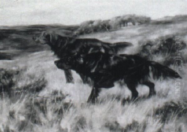 Two Dogs On A Point - view 1