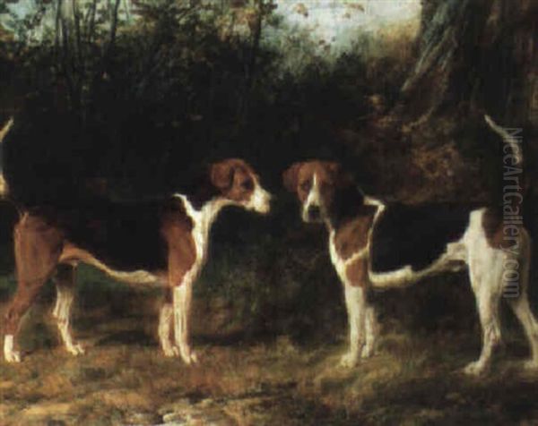 Two Fox Hounds - view 1