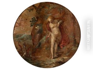 Andromeda Wird Von Perseus Berfreit Andromeda Wird Von Perseus Berfreit