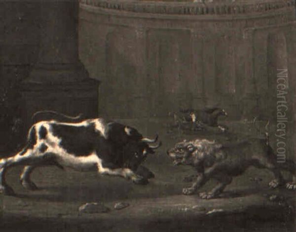 Lucha Entre Un Toro Y Un Leon - view 1