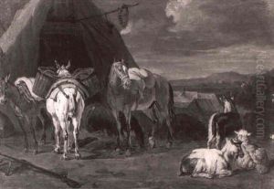 Chevaux Dans Un Campement Chevaux Dans Un Campement