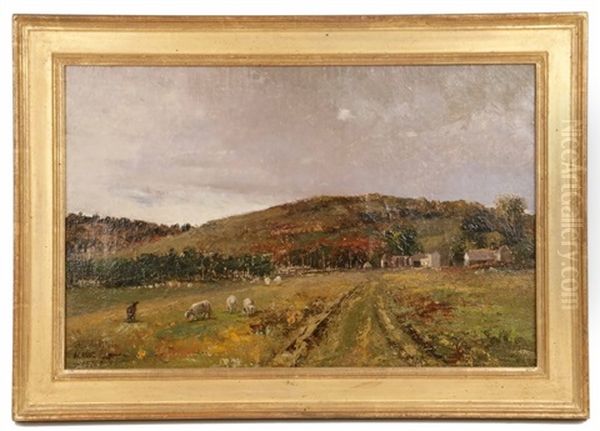 Sheep In Acadian Scene - view 1