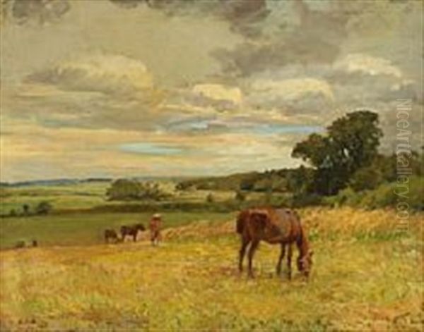Heste Paa En Mark, Bjerreskov - view 1