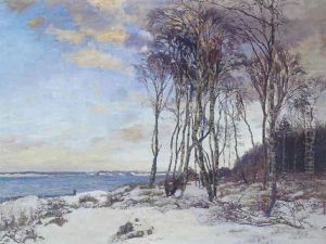 Birke Ved Stranden. Hornbaek Plantage. Frostvejrsaften