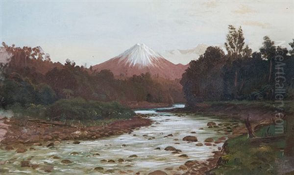 Mt Egmont - view 1