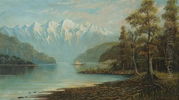 Lake With Waka - view 1