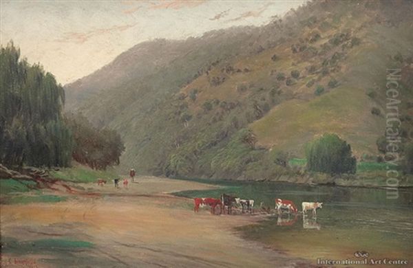 Waimana Gorge - view 1