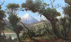 Mt Egmont From The Waterworks Mt Egmont From The Waterworks