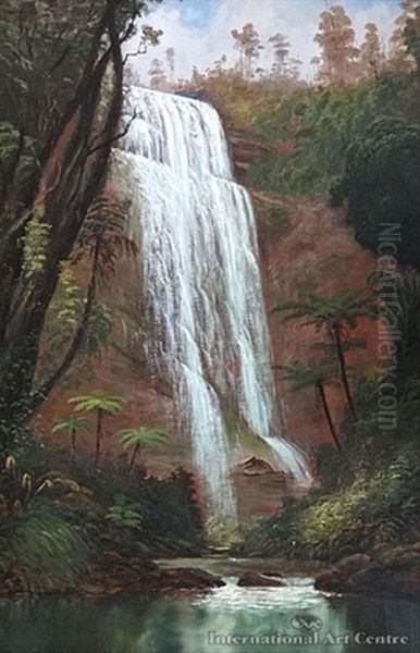 Whangarei Falls - view 1