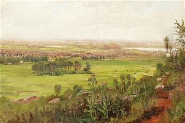 View Across The Plains - view 1