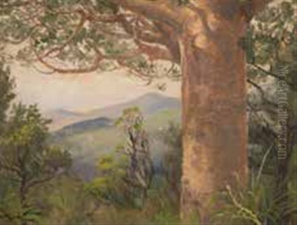 Kauri Forest - view 1