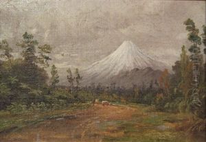 Mt Taranaki Mt Taranaki